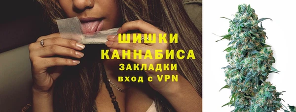 сатива Балахна