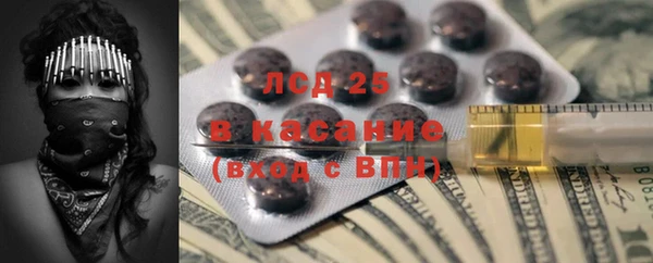 сатива Балахна