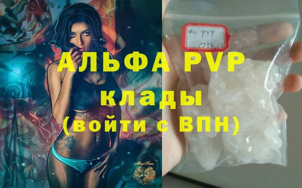 сатива Балахна