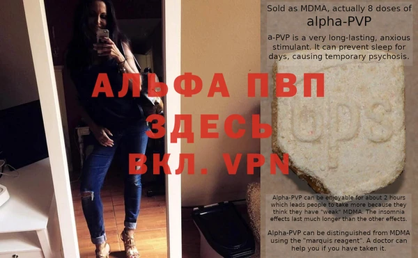 сатива Балахна