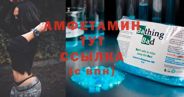 сатива Балахна