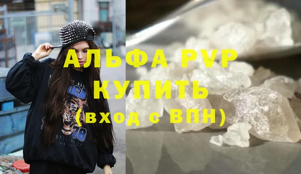сатива Балахна