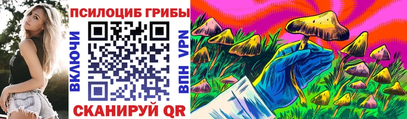 Галлюциногенные грибы Psilocybe Туймазы